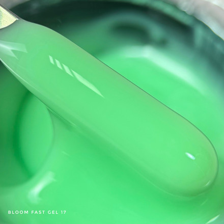 BLOOM   Gel FAST   #17   15мл   Гель для моделирования