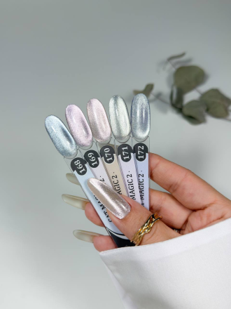 ALTA NIVELO   Гель-лак кошачий глаз   10мл   CAT MAGIC 2   #171